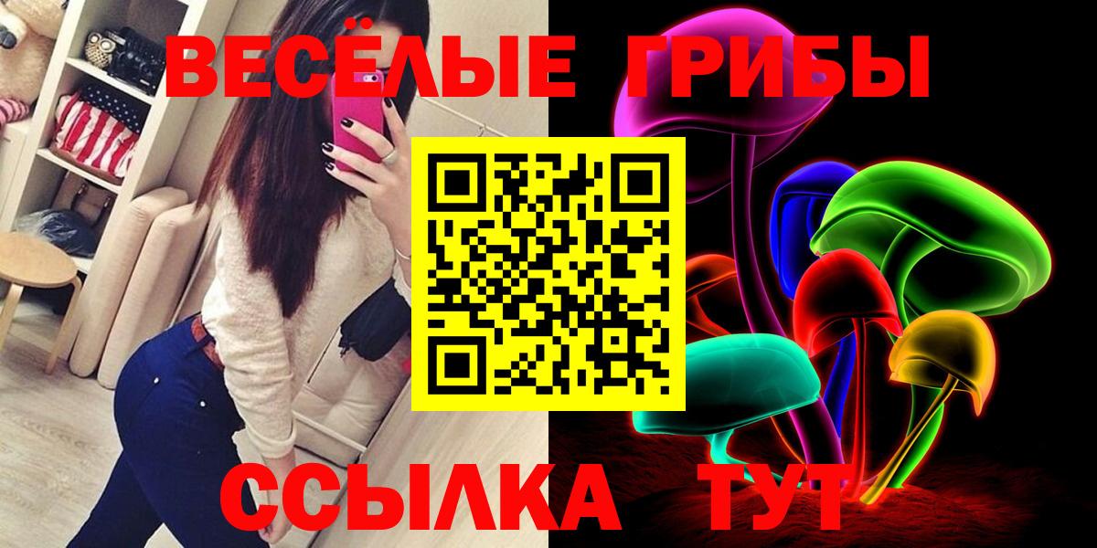 Псилоцибиновые грибы GOLDEN TEACHER  Вход с VPN  Зеленогорск 